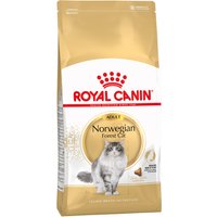 Kody rabatowe zooplus - Royal Canin Norwegian Forest Cat Adult - 10 kg