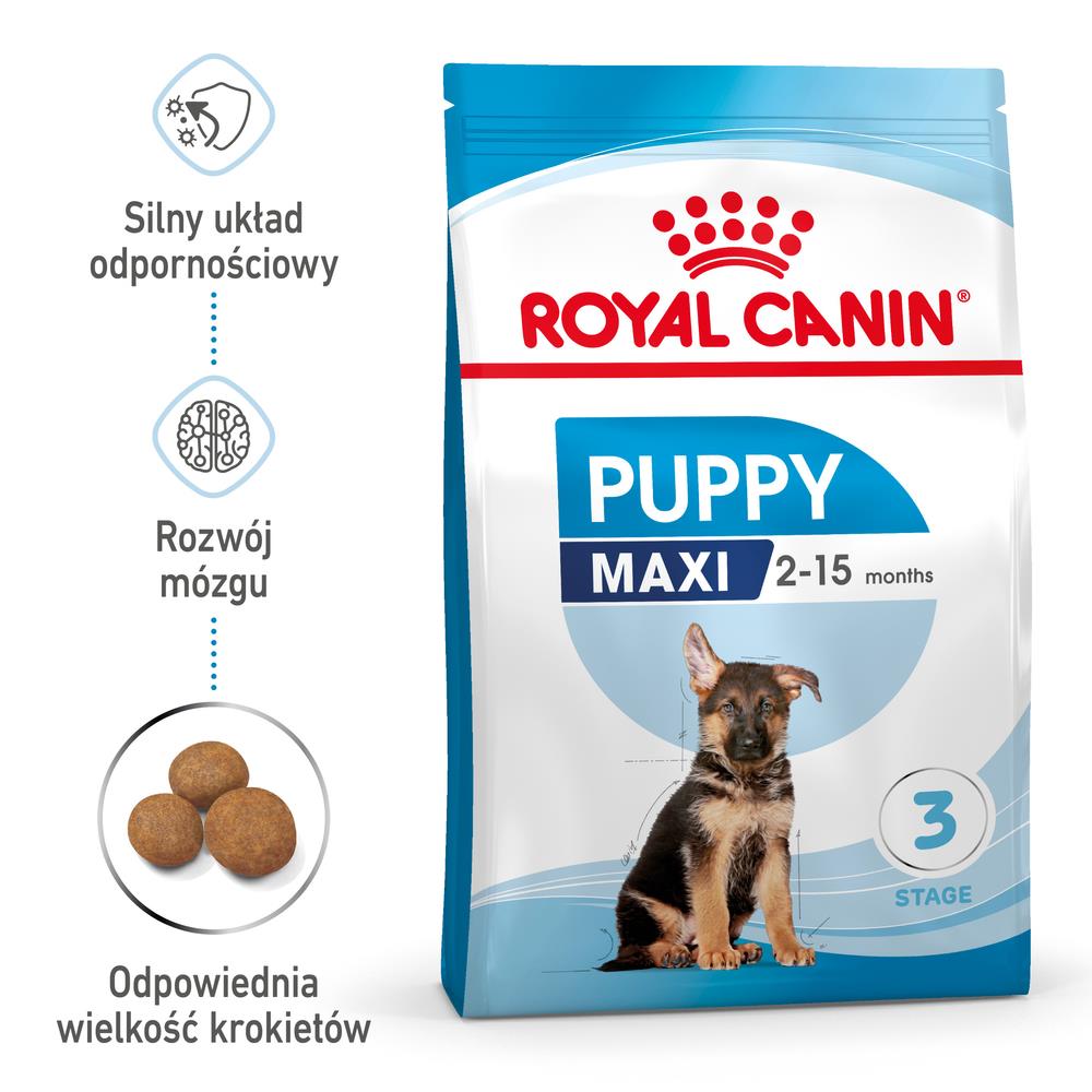 Kody rabatowe ROYAL CANIN SHN Maxi Puppy - sucha karma dla szczeniąt - 15 kg