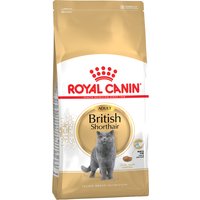 Kody rabatowe Royal Canin British Shorthair Adult - 4 kg