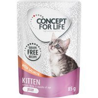 Kody rabatowe Concept for Life Kitten w galarecie, łosoś - bez zbóż - 48 x 85 g