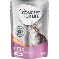 Kody rabatowe Concept for Life Kitten w sosie, łosoś - bez zbóż - 24 x 85 g