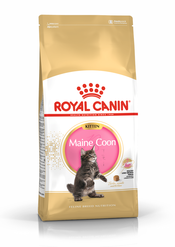 Kody rabatowe Krakvet sklep zoologiczny - ROYAL CANIN FBN Maine Coon Kitten - sucha karma dla kociąt - 4kg