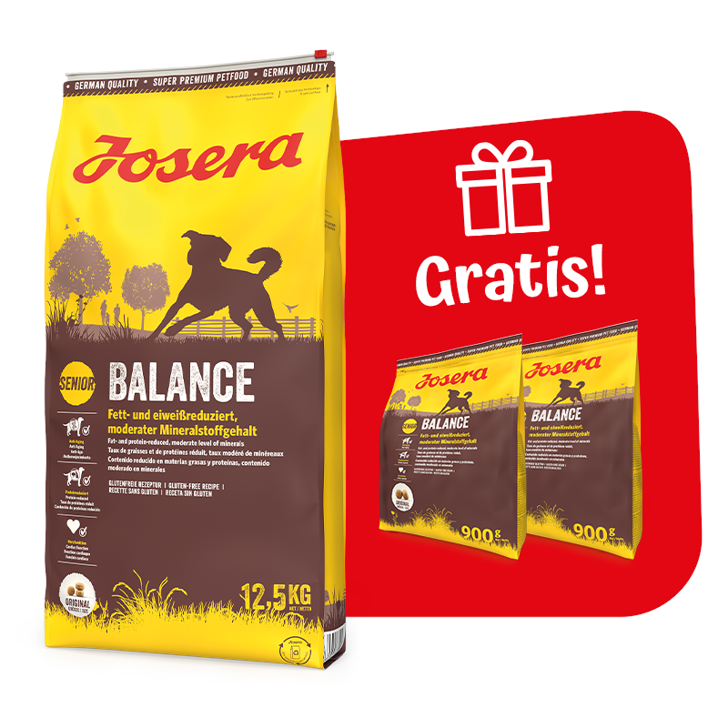 Kody rabatowe JOSERA Balance - sucha karma dla psa - 12,5 kg + 2x900 g GRATIS!