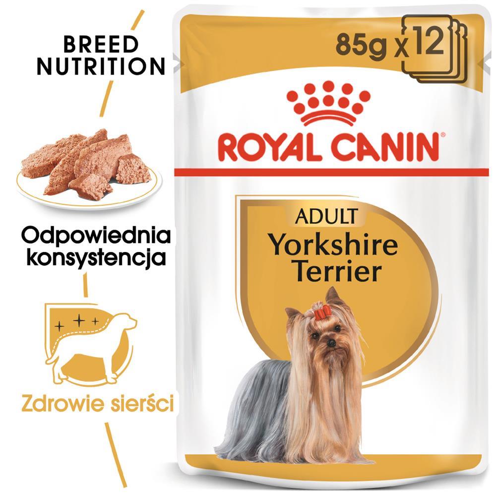 Kody rabatowe Krakvet sklep zoologiczny - ROYAL CANIN BHN Yorkshire Terrier Adult - mokra karma dla psa dorosłego - 12x85g