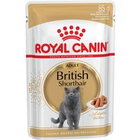 Kody rabatowe zooplus - Uzupełnienie: Mokra karma Royal Canin - Breed British Shorthair Adult w sosie, 12 x 85 g