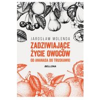 Kody rabatowe CzaryMary.pl Sklep ezoteryczny - Zadziwiające życie owoców. Od ananasa do truskawki