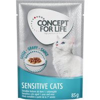 Kody rabatowe zooplus - 36 + 12 gratis! Concept for Life, mokra karma dla kota, 48 x 85 g - Sensitive Cats w sosie