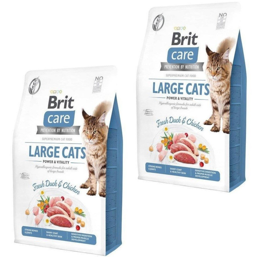 Kody rabatowe Krakvet sklep zoologiczny - BRIT Care Grain-Free Adult Power&Vitality Large Cats - sucha karma dla kota - 2x2 kg