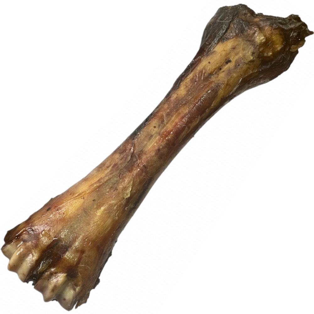Kody rabatowe LUCZE Kość stopa wołowa suszona 100% naturalne - gryzak dla psa - 1 szt.
