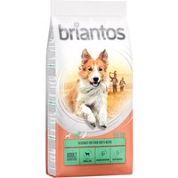 Kody rabatowe Briantos Adult Sensitive, jagnięcina & ryż - 2 x 14 kg