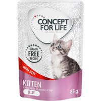 Kody rabatowe Concept for Life Kitten w galarecie, wołowina - bez zbóż - 24 x 85 g