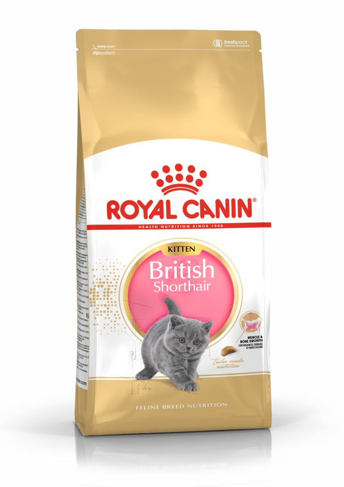 Kody rabatowe Krakvet sklep zoologiczny - ROYAL CANIN FBN British Shorthair Kitten - sucha karma dla kociąt - 10kg
