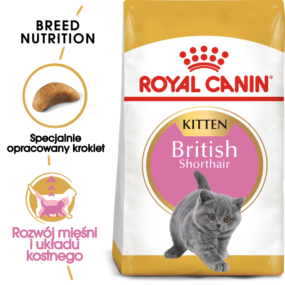 Kody rabatowe Krakvet sklep zoologiczny - ROYAL CANIN FBN British Shorthair Kitten - sucha karma dla kociąt - 2x10kg