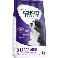 Kody rabatowe Concept for Life X-Large Adult - 1,5 kg