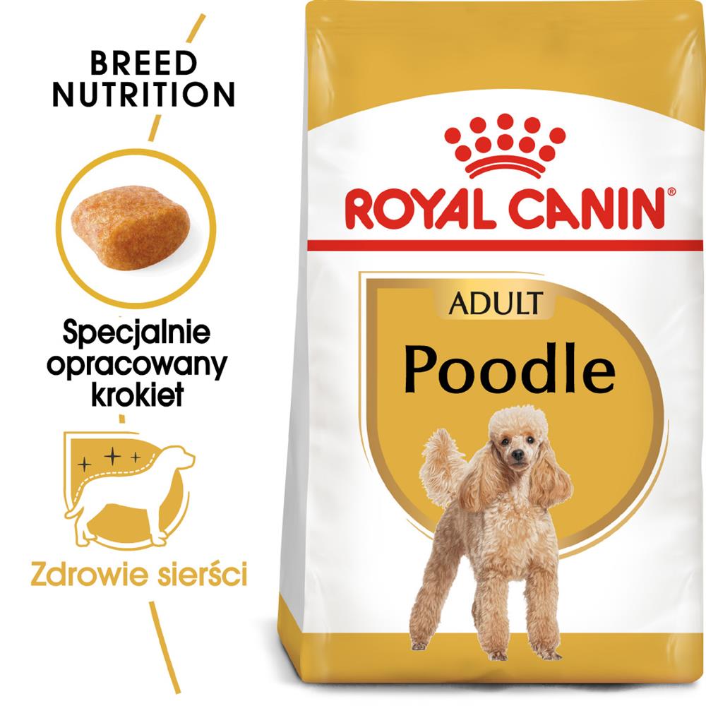Kody rabatowe Royal Canin BHN Poodle Adult - sucha karma dla psa dorosłego - 1,5kg