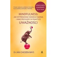 Kody rabatowe CzaryMary.pl Sklep ezoteryczny - Mindfulness jak wytresować dzikiego słonia i inne przygody w praktyce uważności
