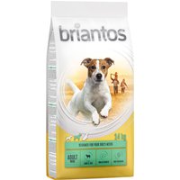 Kody rabatowe Briantos Adult Mini, jagnięcina & ryż - 14 kg