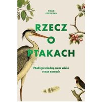 Kody rabatowe CzaryMary.pl Sklep ezoteryczny - Rzecz o ptakach