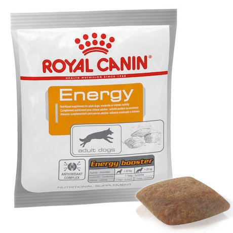 Kody rabatowe Krakvet sklep zoologiczny - ROYAL CANIN Energy - przysmak dla psa - 50 g