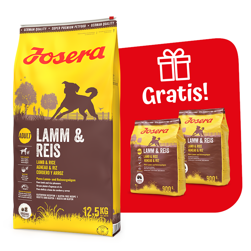 Kody rabatowe Krakvet sklep zoologiczny - JOSERA Jagnięcina z ryżem - sucha karma dla psa - 12,5 kg + 2x900g GRATIS!